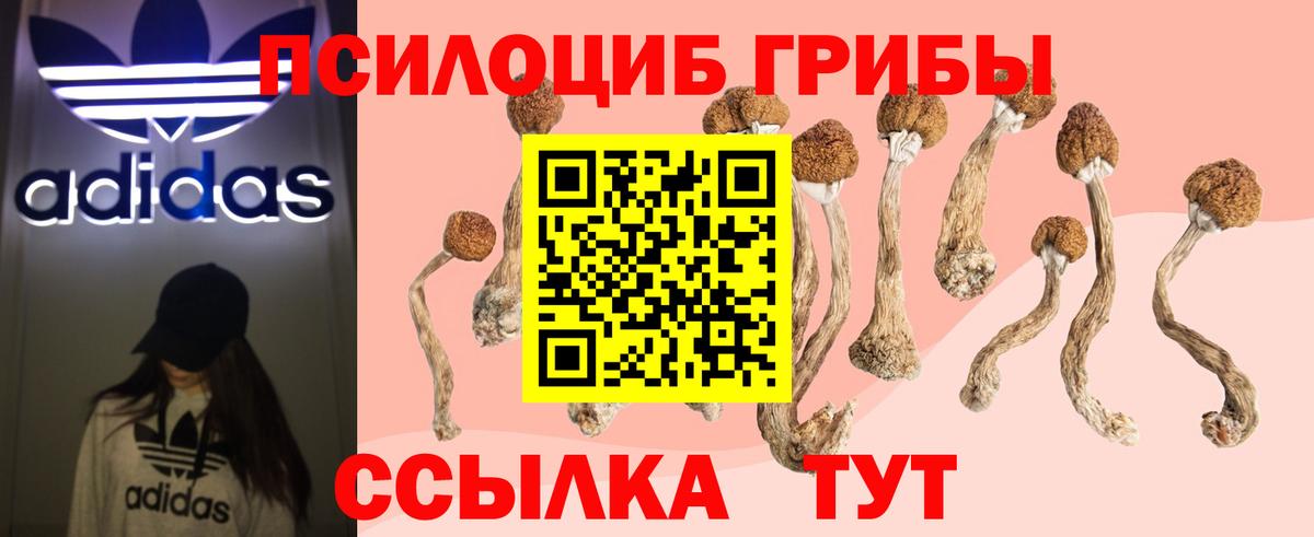 Псилоцибиновые грибы MAGIC MUSHROOMS  Вход с VPN  Первоуральск 